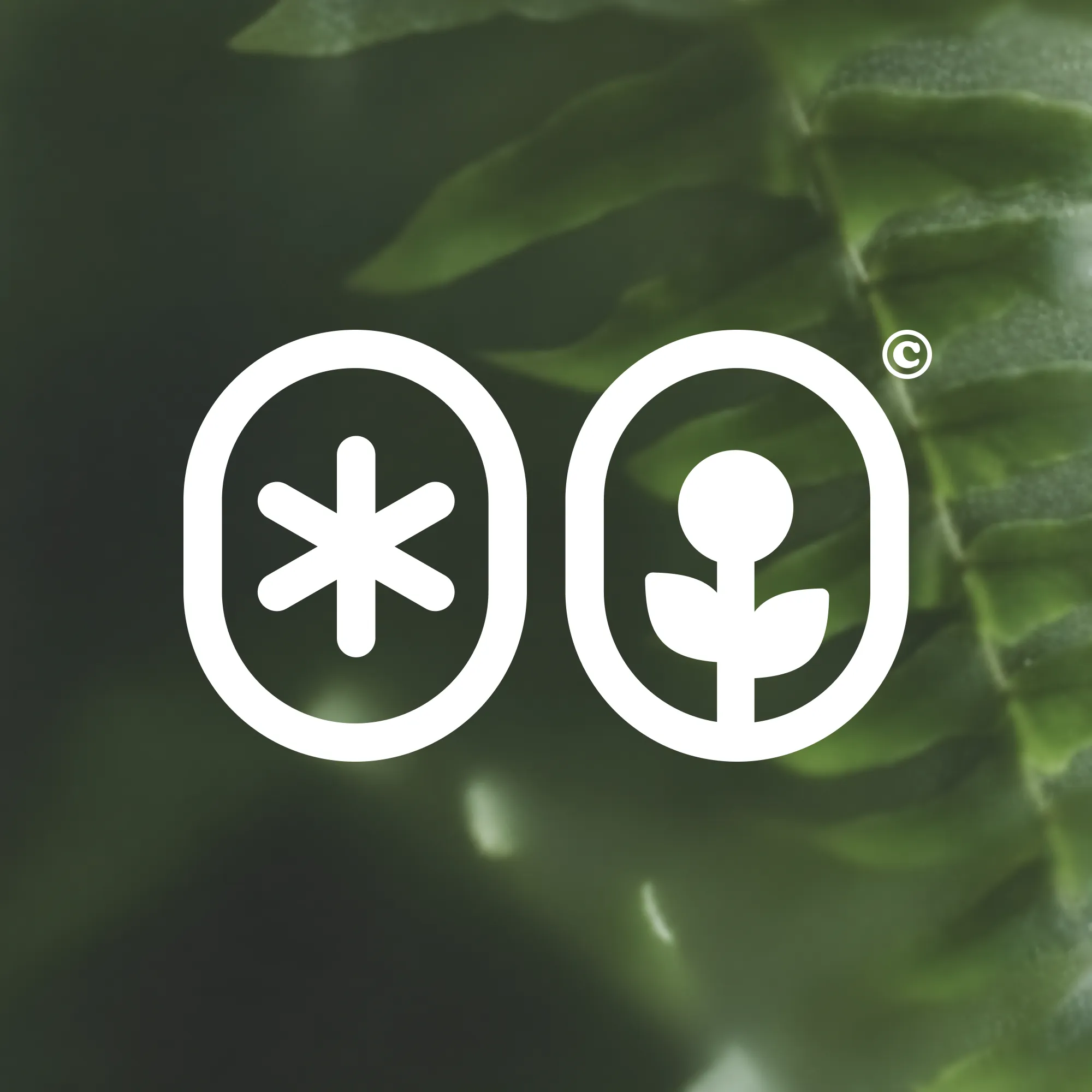Osbl logo on picture background