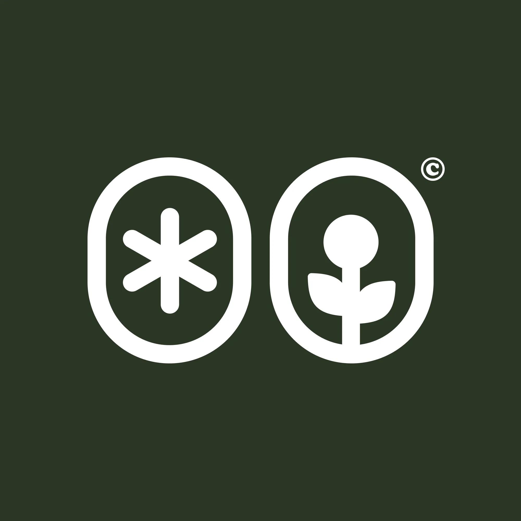Osbl logo in white on dark green