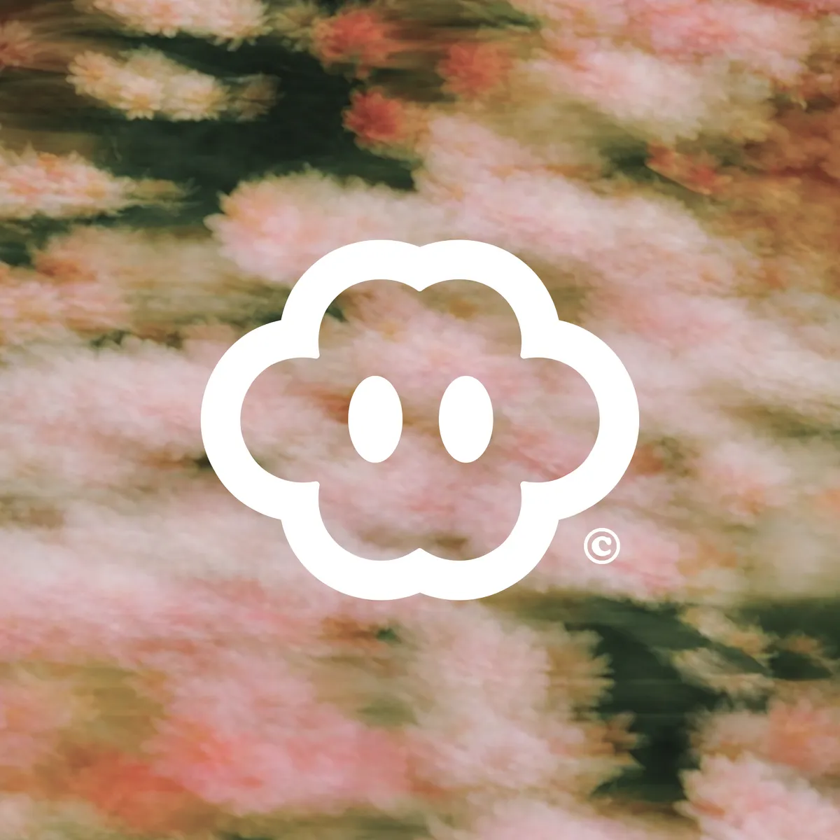 Studio Palla logo on flower image