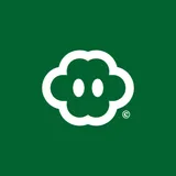 Studio Palla logo on green